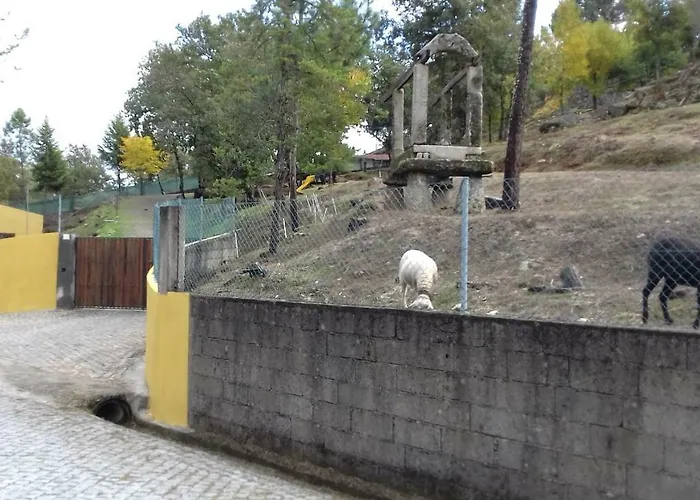 Casas De Canavezes * Marco de Canavezes